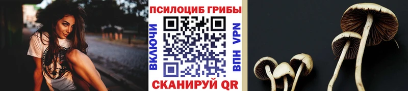 Галлюциногенные грибы Magic Shrooms  Макарьев 